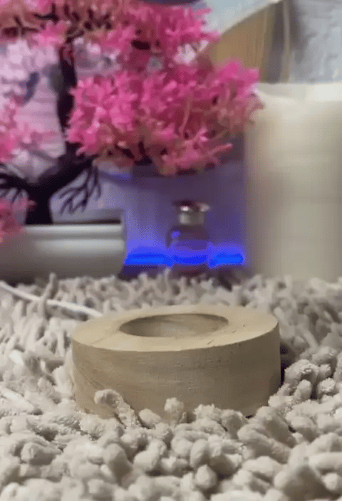 🐾✨ ¡Stitch en Esfera LED 2x1! Llévate 2 por el precio de 1 💡🔥